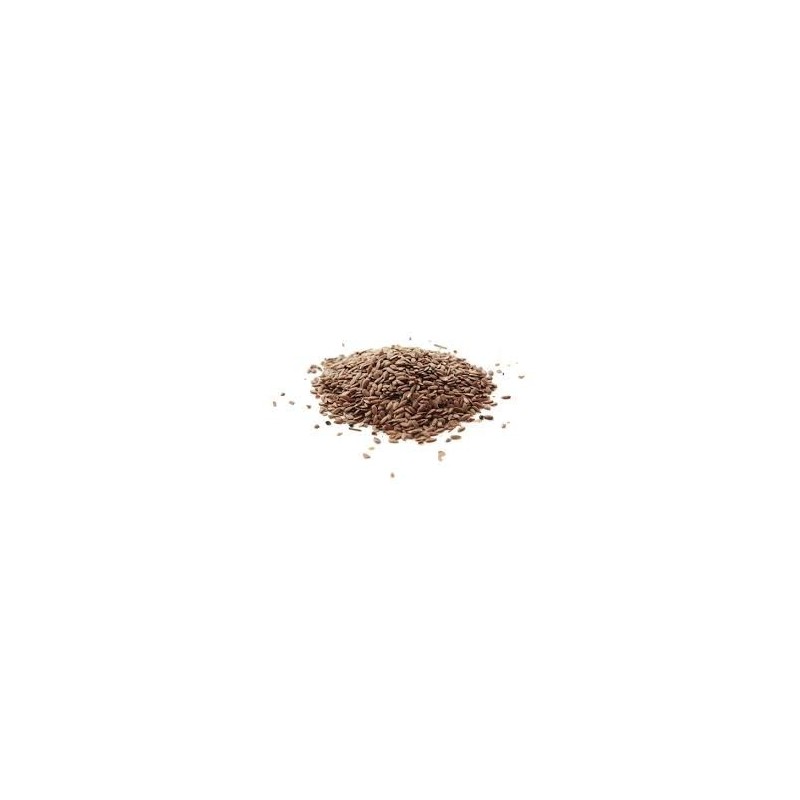 Schalk Mühle Protéine en Poudre de Graines de Lin Bio Crues, 350 g -  Ayurveda 101 France