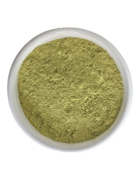 Henné du Rajasthan BAQ