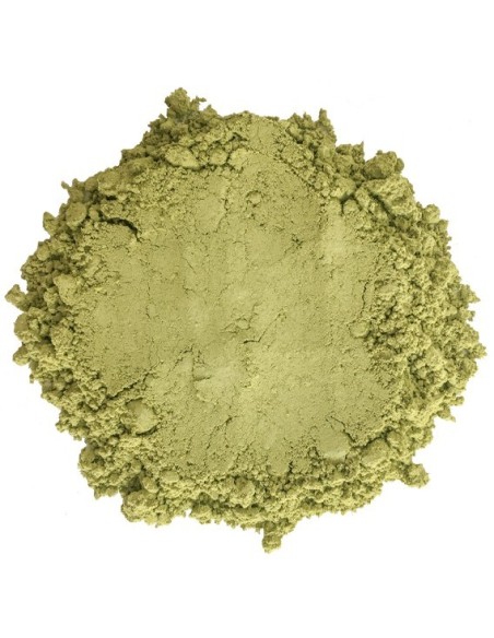 Henné du Rajasthan BAQ