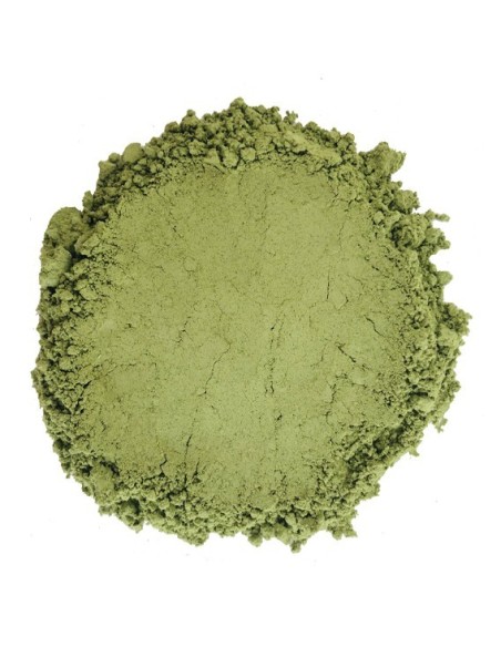 Coloration Châtain Foncé