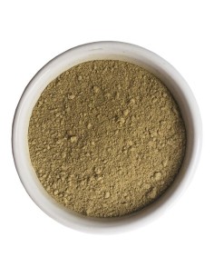 Tulsi (Basilic sacré)