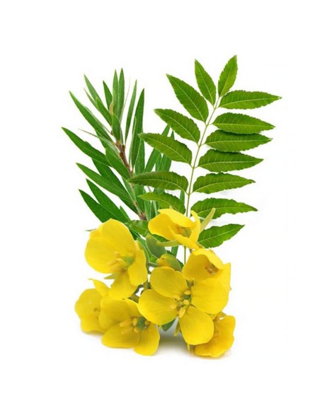 Huile capillaire ayurvédique Neem Harmony - 50 ml - Khadi