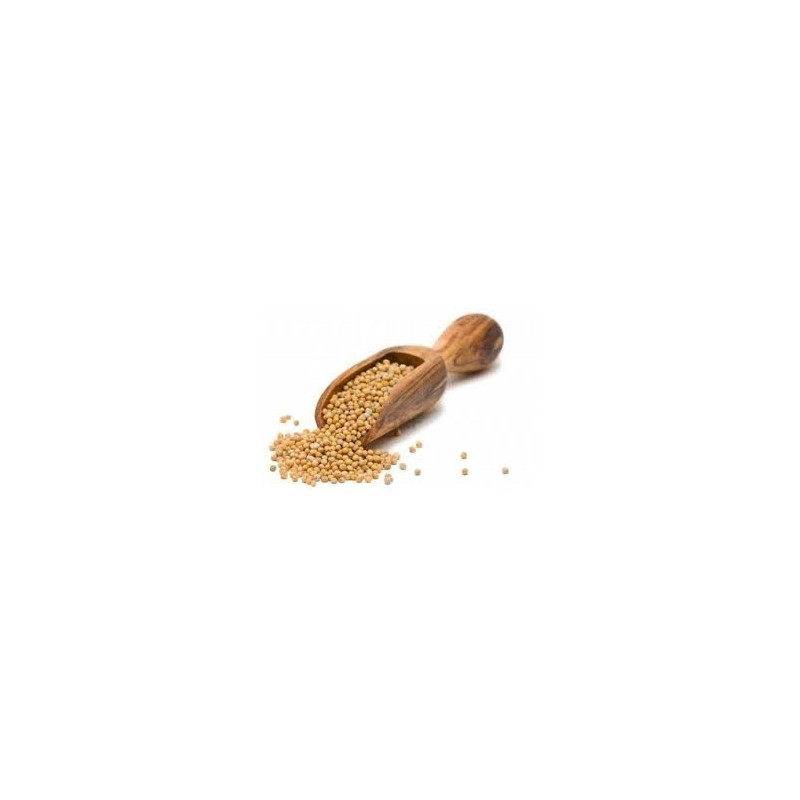 Moutarde (poudre) Moutarde (poudre)