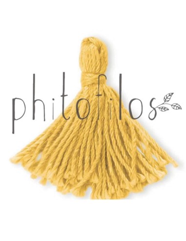 Coloration Blond Doré Cuivré (Biondo Chiaro Ramato) - Phitofilos