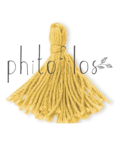 Coloration Blond Doré (Miscela Camomilla) - Phitofilos