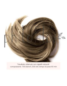 Coloration Noisette (Castano Nocciola) - Phitofilos 2