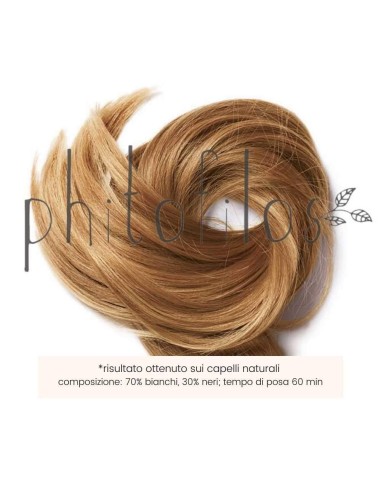 Coloration Chatain Cannelle (Castano Cannella) - Phitofilos