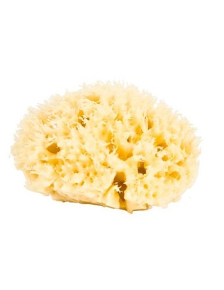 Éponge de mer naturelle Najel 9-10 cm – Douceur & nettoyage naturel