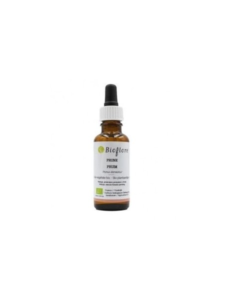 Huile végétale de Prune Bioflore 30 ml – Soin nourrissant & protecteur peau & cheveux