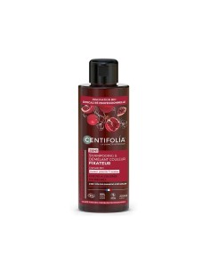 Shampoing Démêlant Couleur | Soin Cheveux Colorés & Méchés