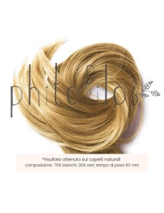 Coloration Blond doré cuivré - Phitofilos 2