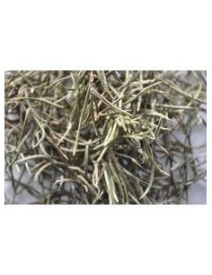 Feuilles de Romarin – Infusion capillaire stimulant le cuir chevelu 2