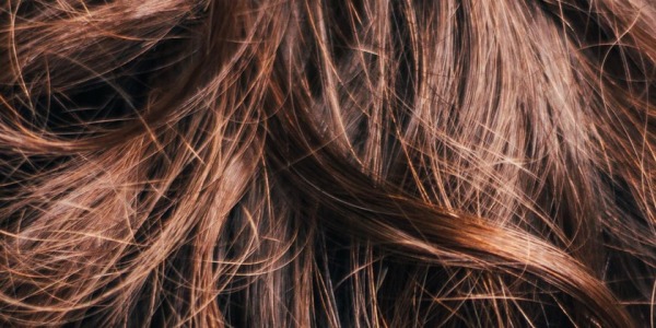 Les poudres et écorces colorantes : Les tons marrons / bruns