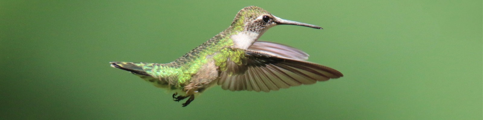 Livraison offerte dès 39€